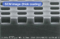 SEM image (thick coating)
